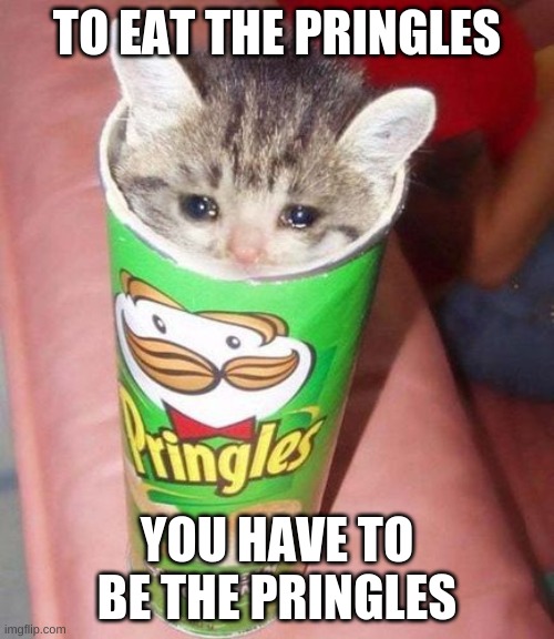 TO EAT THE PRINGLES; YOU HAVE TO BE THE PRINGLES | image tagged in chips,cats,cat | made w/ Imgflip meme maker