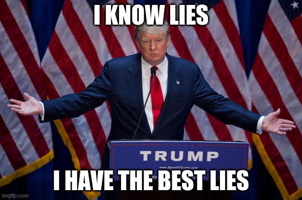 Donald Trump | I KNOW LIES; I HAVE THE BEST LIES | image tagged in donald trump | made w/ Imgflip meme maker