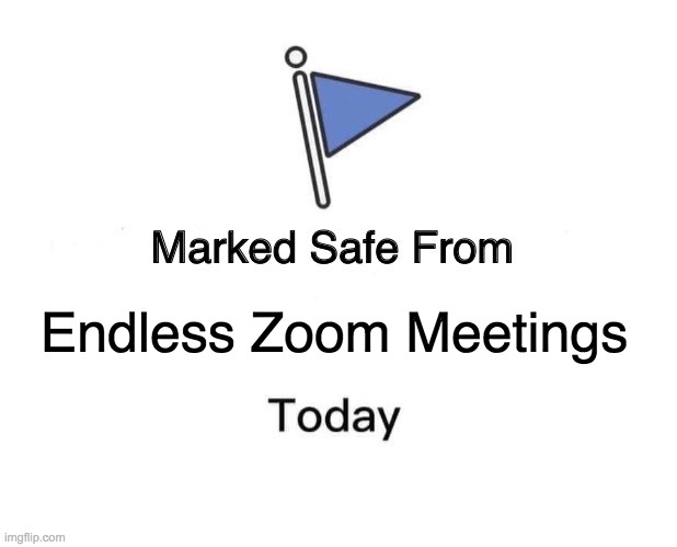 Marked Safe From Meme | Endless Zoom Meetings | image tagged in memes,marked safe from | made w/ Imgflip meme maker