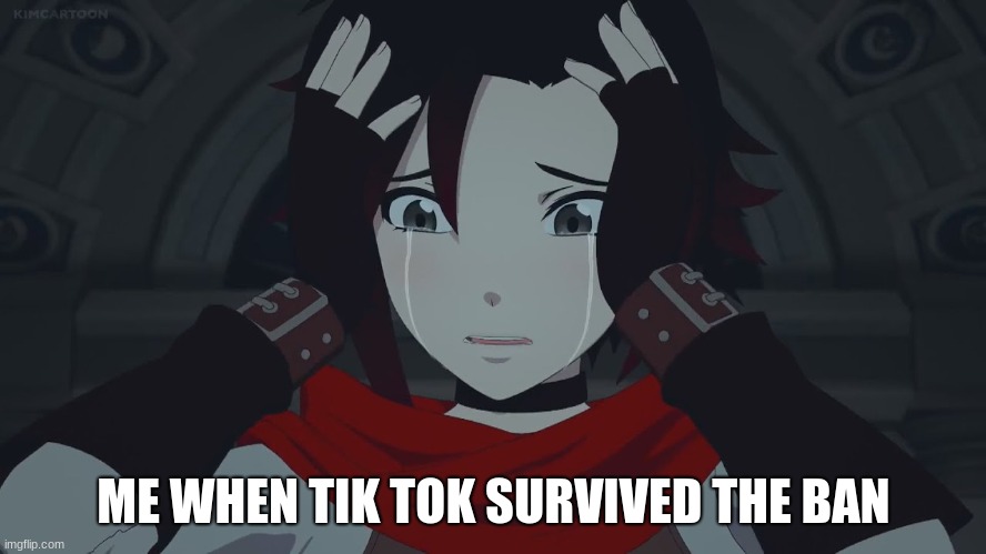 OH FREAK-- | ME WHEN TIK TOK SURVIVED THE BAN | image tagged in tik tok,tiktok | made w/ Imgflip meme maker