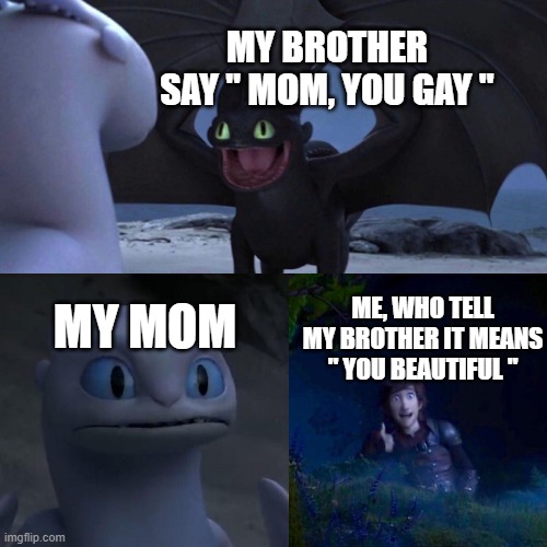 sin | MY BROTHER SAY " MOM, YOU GAY "; MY MOM; ME, WHO TELL MY BROTHER IT MEANS " YOU BEAUTIFUL " | image tagged in night fury,gay,april fools | made w/ Imgflip meme maker