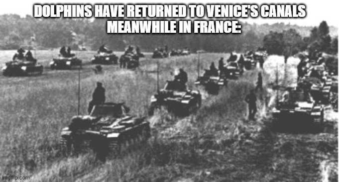 DOLPHINS HAVE RETURNED TO VENICE'S CANALS; MEANWHILE IN FRANCE: | image tagged in ww2 | made w/ Imgflip meme maker