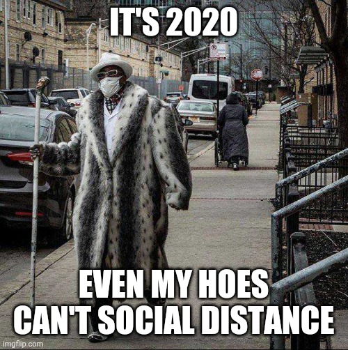 COVID HURTING THE PIMPS AS WELL | IT'S 2020; EVEN MY HOES CAN'T SOCIAL DISTANCE | image tagged in pimp,2020,covid-19,pimpin,face mask | made w/ Imgflip meme maker