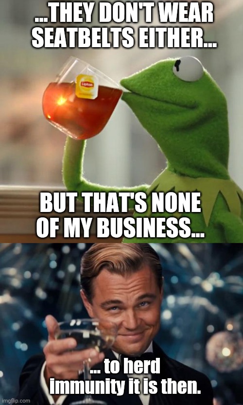 ...THEY DON'T WEAR SEATBELTS EITHER... BUT THAT'S NONE OF MY BUSINESS... ... to herd immunity it is then. | image tagged in memes,leonardo dicaprio cheers,but that's none of my business | made w/ Imgflip meme maker