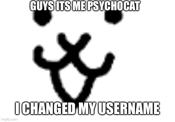 I changed my username lol | GUYS ITS ME PSYCHOCAT; I CHANGED MY USERNAME | image tagged in memes,funny,change,usernames,users | made w/ Imgflip meme maker