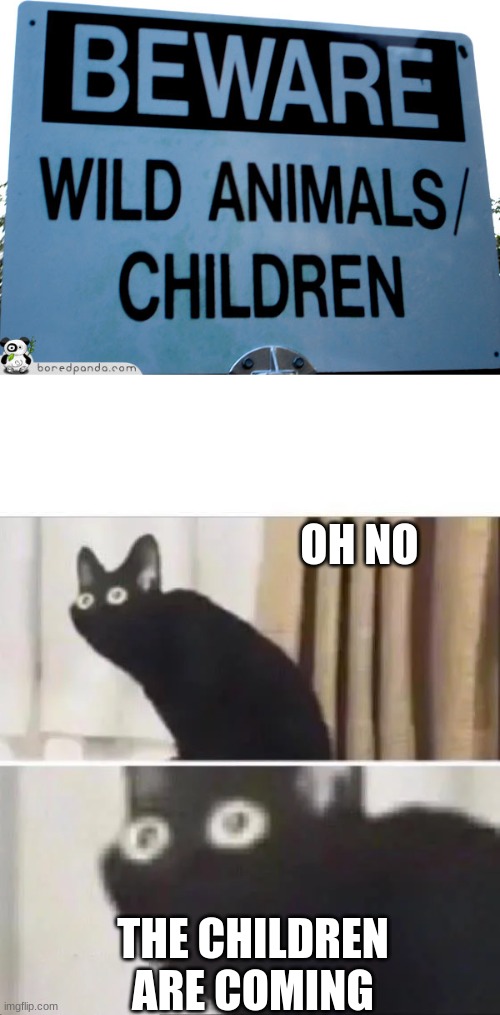 Image tagged in oh no black cat - Imgflip