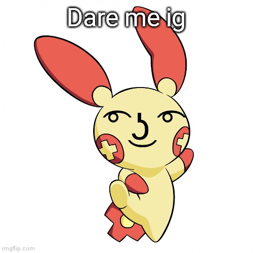 ʕっ•ᴥ•ʔっʕっ•ᴥ•ʔっʕっ•ᴥ•ʔっʕっ•ᴥ•ʔっʕっ•ᴥ•ʔっkoala army | Dare me ig | image tagged in lenny face plusle | made w/ Imgflip meme maker