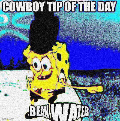 COWBOY TIP OF THE DAY | image tagged in spongebob,squidward can't sleep with the spoons rattling,cowboy,bean,water,deep fried | made w/ Imgflip meme maker