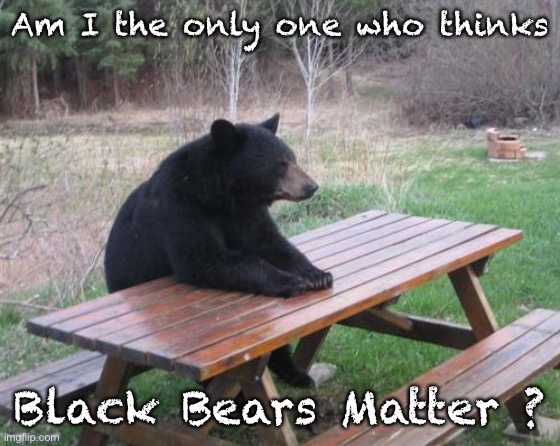 Bad Luck Bear Meme | Am I the only one who thinks; Black Bears Matter ? | image tagged in memes,bad luck bear | made w/ Imgflip meme maker
