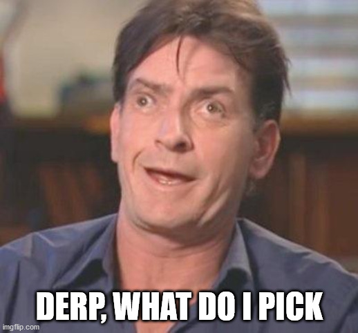 Charlie Sheen DERP | DERP, WHAT DO I PICK | image tagged in charlie sheen derp | made w/ Imgflip meme maker