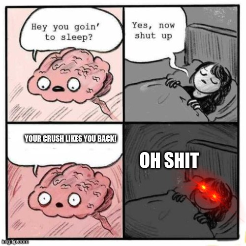when your crush likes you back. | YOUR CRUSH LIKES YOU BACK! OH SHIT | image tagged in hey you going to sleep | made w/ Imgflip meme maker