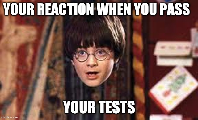 Harry Potter | YOUR REACTION WHEN YOU PASS; YOUR TESTS | image tagged in harry potter | made w/ Imgflip meme maker