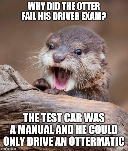 That's otter this world | image tagged in memes,dad jokes,bad puns | made w/ Imgflip meme maker