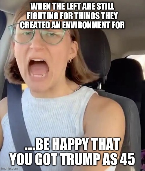 Unhinged Liberal Lunatic Idiot Woman Meltdown Screaming in Car | WHEN THE LEFT ARE STILL FIGHTING FOR THINGS THEY CREATED AN ENVIRONMENT FOR; ....BE HAPPY THAT YOU GOT TRUMP AS 45 | image tagged in unhinged liberal lunatic idiot woman meltdown screaming in car | made w/ Imgflip meme maker