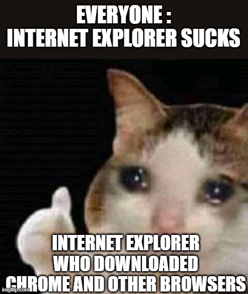 Internet explorer | EVERYONE : INTERNET EXPLORER SUCKS; INTERNET EXPLORER WHO DOWNLOADED CHROME AND OTHER BROWSERS | image tagged in sad thumbs up cat,internet explorer | made w/ Imgflip meme maker