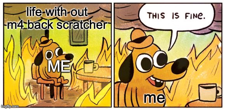 Plain | life with out m4 back scratcher; ME; me | image tagged in memes,this is fine,call of duty | made w/ Imgflip meme maker