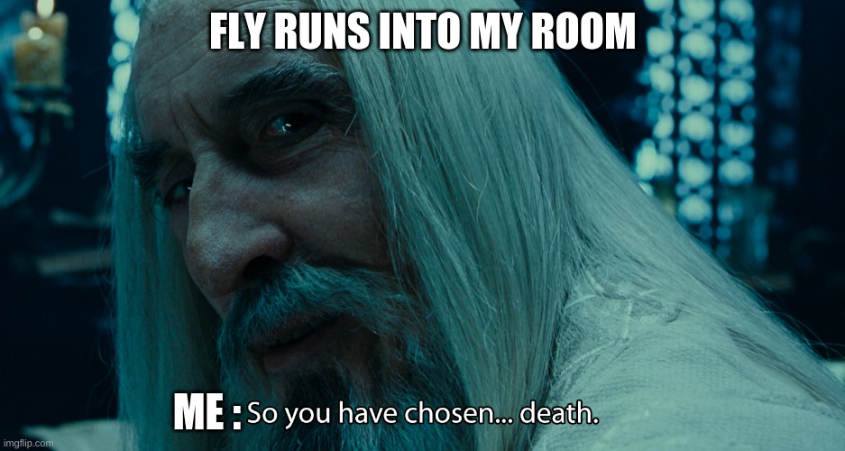 choose death | FLY RUNS INTO MY ROOM; ME : | image tagged in choose death | made w/ Imgflip meme maker