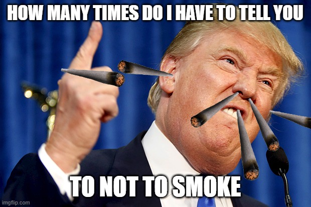 Donald Trump | HOW MANY TIMES DO I HAVE TO TELL YOU; TO NOT TO SMOKE | image tagged in donald trump | made w/ Imgflip meme maker
