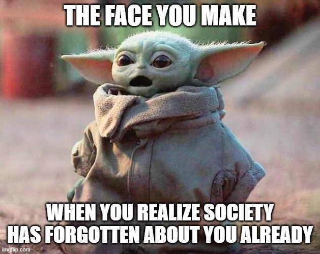 Mandalorian? Is that some kind of orange? | THE FACE YOU MAKE; WHEN YOU REALIZE SOCIETY
HAS FORGOTTEN ABOUT YOU ALREADY | image tagged in baby yoda,the mandalorian,2020 | made w/ Imgflip meme maker