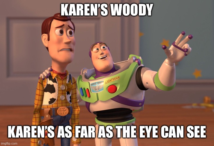 Woodys Karen’s | KAREN’S WOODY; KAREN’S AS FAR AS THE EYE CAN SEE | image tagged in memes,x x everywhere | made w/ Imgflip meme maker