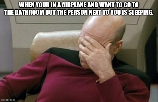Captain Picard Facepalm Meme | WHEN YOUR IN A AIRPLANE AND WANT TO GO TO THE BATHROOM BUT THE PERSON NEXT TO YOU IS SLEEPING. | image tagged in memes,captain picard facepalm | made w/ Imgflip meme maker