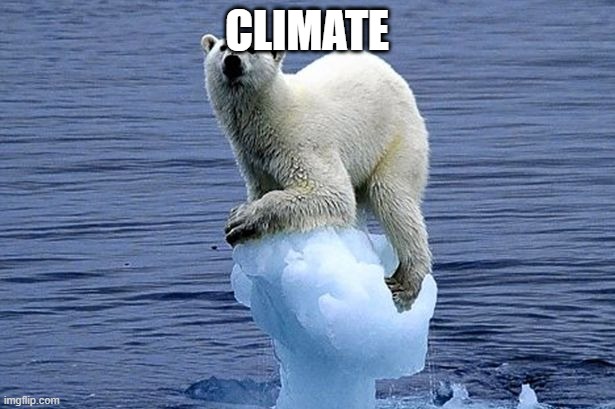 Polar bear climate change | CLIMATE | image tagged in polar bear climate change | made w/ Imgflip meme maker