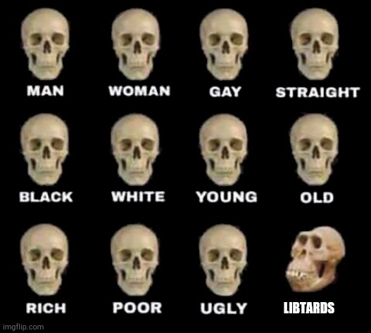 man woman gay straight skull | LIBTARDS | image tagged in man woman gay straight skull | made w/ Imgflip meme maker