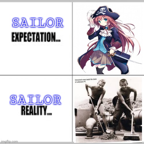 Sailor problems | SAILOR; SAILOR | image tagged in expectation vs reality,sailor,pirates,anime girl | made w/ Imgflip meme maker
