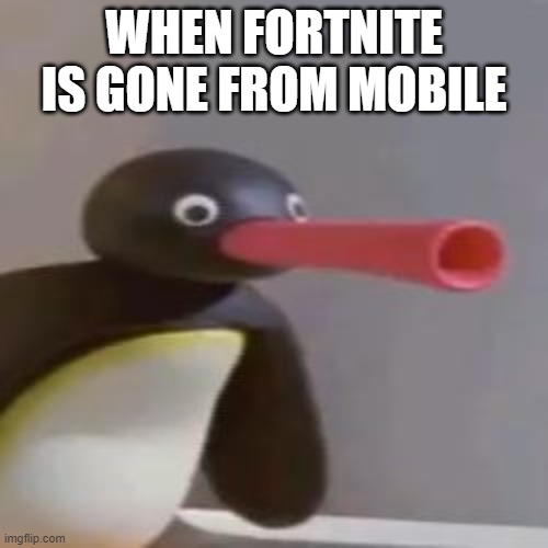 noot noot | WHEN FORTNITE IS GONE FROM MOBILE | image tagged in noot noot,fortnite | made w/ Imgflip meme maker