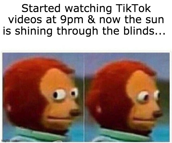 Monkey Puppet | Started watching TikTok videos at 9pm & now the sun is shining through the blinds... | image tagged in memes,monkey puppet | made w/ Imgflip meme maker