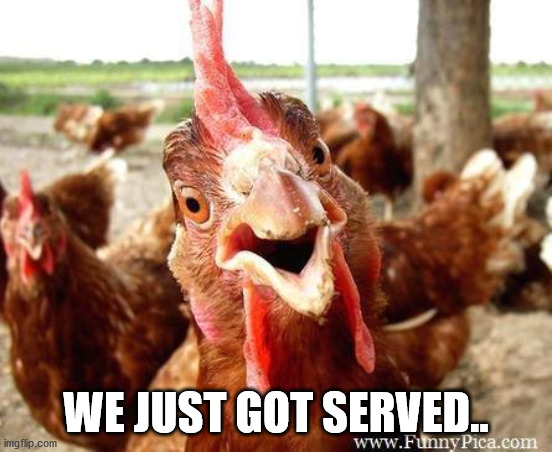 Chicken | WE JUST GOT SERVED.. | image tagged in chicken | made w/ Imgflip meme maker