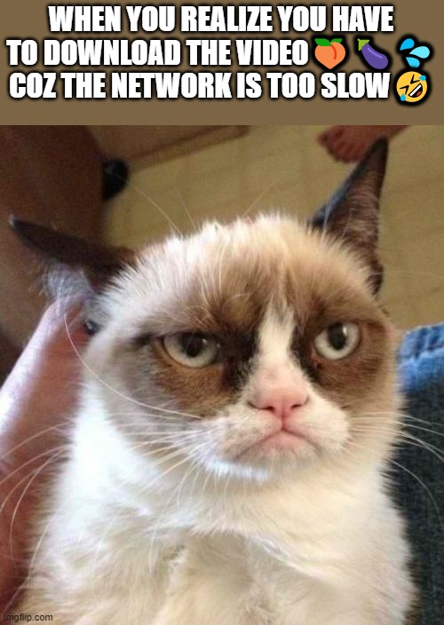 Whaaa | WHEN YOU REALIZE YOU HAVE TO DOWNLOAD THE VIDEO🍑🍆💦 COZ THE NETWORK IS TOO SLOW🤣 | image tagged in memes,grumpy cat reverse,grumpy cat | made w/ Imgflip meme maker