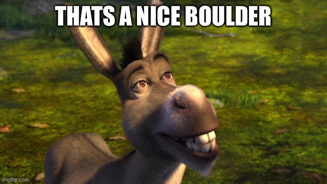 Donkey |  THATS A NICE BOULDER | image tagged in shrek,donkey,funny,memes,animals,boulder | made w/ Imgflip meme maker