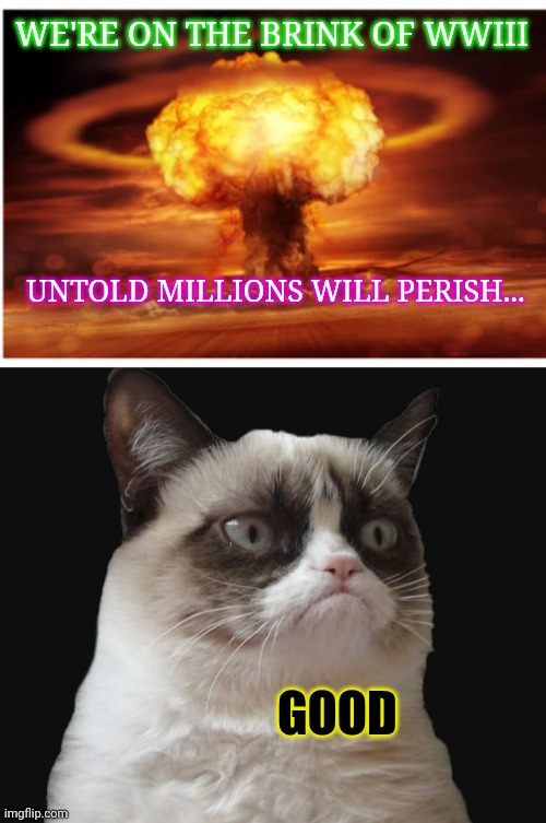 WWIII | WE'RE ON THE BRINK OF WWIII; UNTOLD MILLIONS WILL PERISH... GOOD | image tagged in grumpy cat happy | made w/ Imgflip meme maker