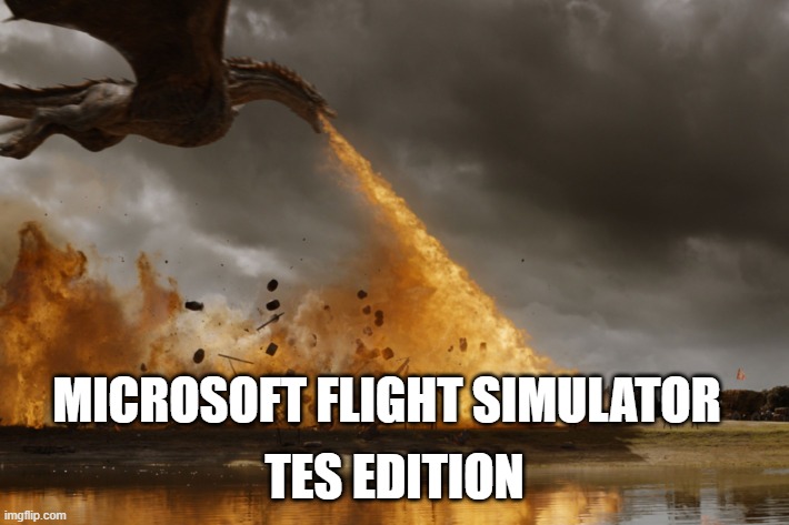 Microsoft buys Bethesda | MICROSOFT FLIGHT SIMULATOR; TES EDITION | image tagged in microsoft,bethesda,elder scrolls,dragon | made w/ Imgflip meme maker