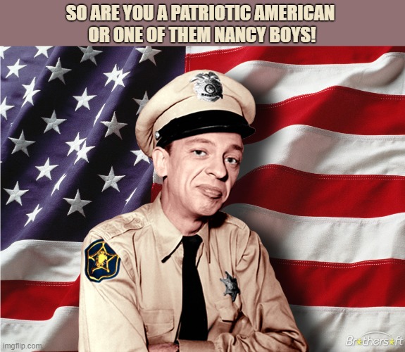 Trump Supporter | SO ARE YOU A PATRIOTIC AMERICAN 
OR ONE OF THEM NANCY BOYS! | image tagged in barney fife 12 | made w/ Imgflip meme maker