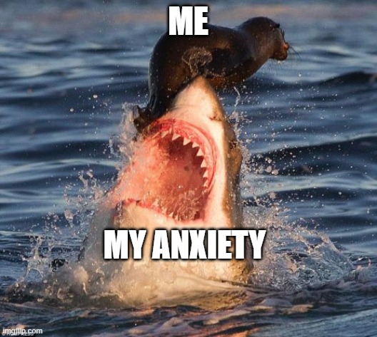 anxiety | ME; MY ANXIETY | image tagged in memes,travelonshark | made w/ Imgflip meme maker