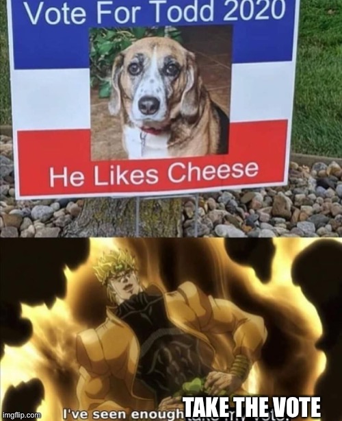 He likes cheese | TAKE THE VOTE | image tagged in dogs,he likes cheese | made w/ Imgflip meme maker