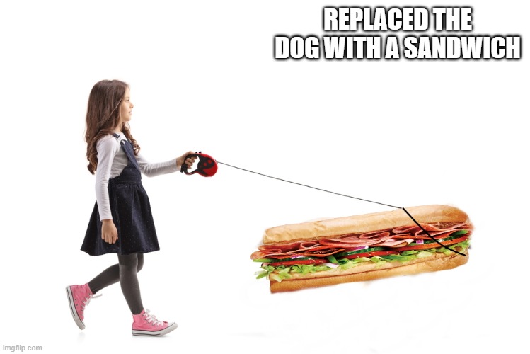 sandwich on a leash | REPLACED THE DOG WITH A SANDWICH | image tagged in sndwich,kewlew | made w/ Imgflip meme maker