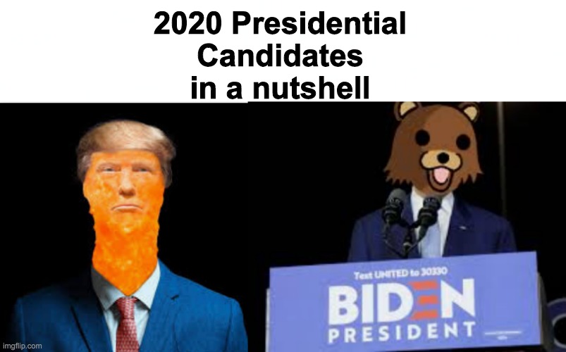 2020 Presidential Candidates in a nutshell | made w/ Imgflip meme maker