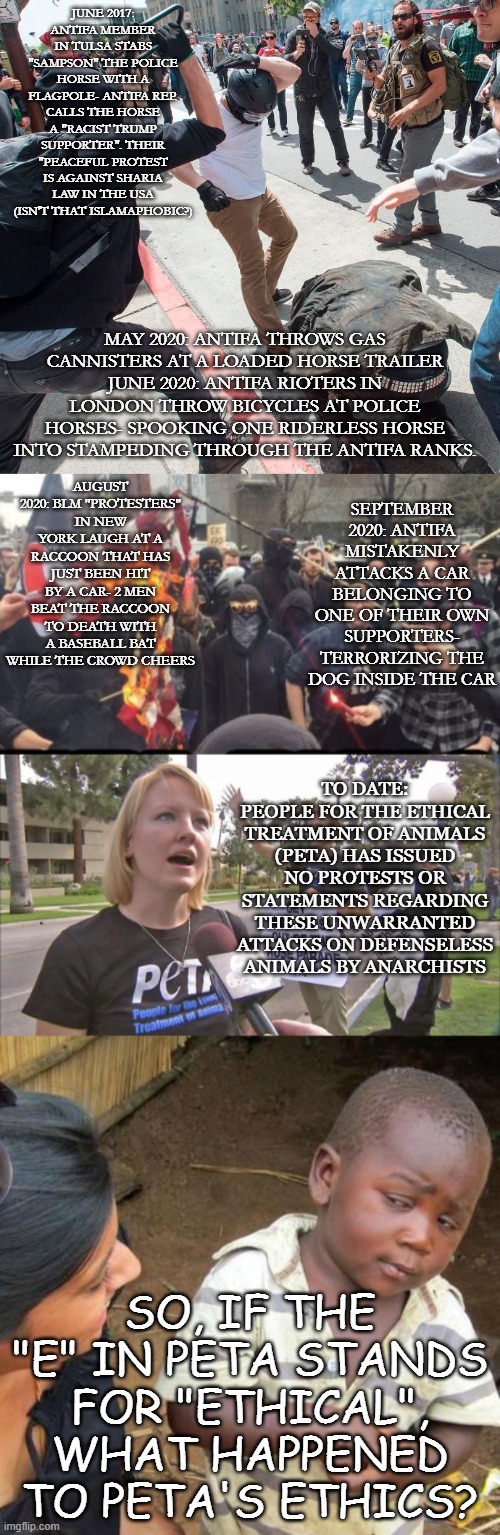 The "E" in PETA stands for what? | TO DATE: PEOPLE FOR THE ETHICAL TREATMENT OF ANIMALS (PETA) HAS ISSUED NO PROTESTS OR STATEMENTS REGARDING THESE UNWARRANTED ATTACKS ON DEFENSELESS ANIMALS BY ANARCHISTS; SO, IF THE "E" IN PETA STANDS FOR "ETHICAL", WHAT HAPPENED TO PETA'S ETHICS? | image tagged in peta | made w/ Imgflip meme maker