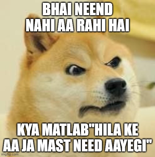 angry doge | BHAI NEEND NAHI AA RAHI HAI; KYA MATLAB"HILA KE AA JA MAST NEED AAYEGI" | image tagged in angry doge | made w/ Imgflip meme maker