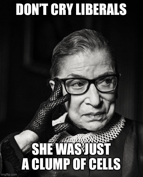 Fill the Seat! | DON’T CRY LIBERALS; SHE WAS JUST A CLUMP OF CELLS | image tagged in rbg black white,abortion,abortion is murder | made w/ Imgflip meme maker