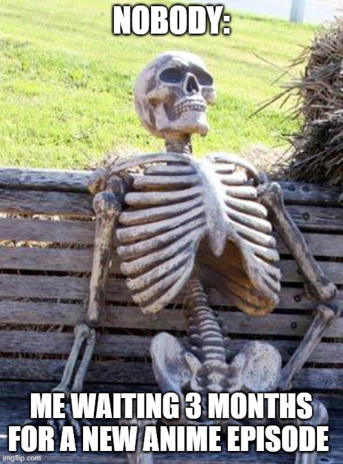 Waiting Skeleton Meme | NOBODY: ME WAITING 3 MONTHS FOR A NEW ANIME EPISODE | image tagged in memes,waiting skeleton | made w/ Imgflip meme maker