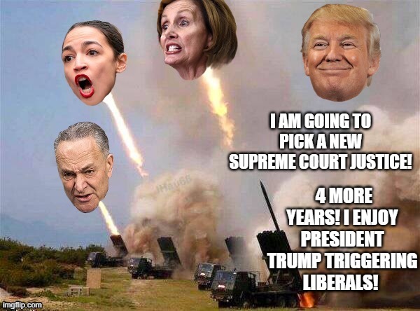 I Am Going To Pick A New Supreme Court Justice! President Trump!  Making Triggering Liberals GREAT! | image tagged in stupid liberals,donald trump,crazy aoc,nancy pelosi,chuck schumer | made w/ Imgflip meme maker