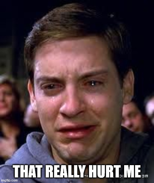 crying spiderman | THAT REALLY HURT ME | image tagged in crying spiderman | made w/ Imgflip meme maker