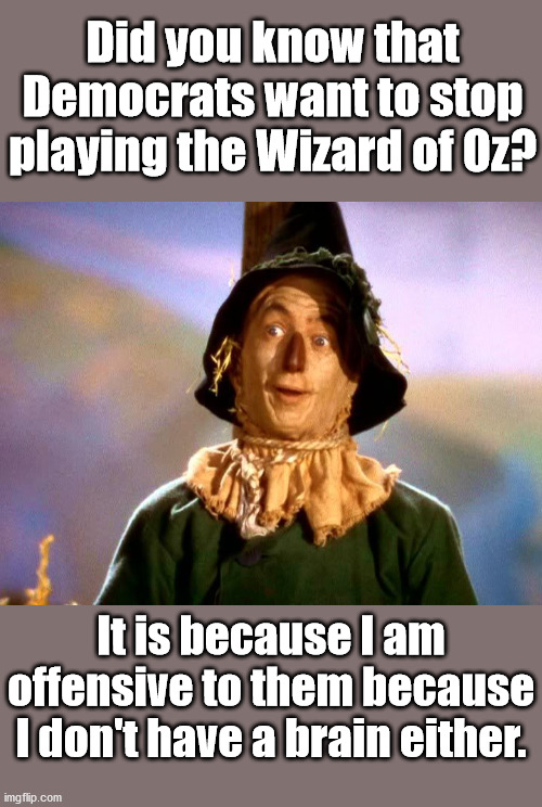 They only need a brain and the power to use it. | Did you know that Democrats want to stop playing the Wizard of Oz? It is because I am offensive to them because I don't have a brain either. | image tagged in wizard of oz scarecrow,brains,sjw,politics | made w/ Imgflip meme maker