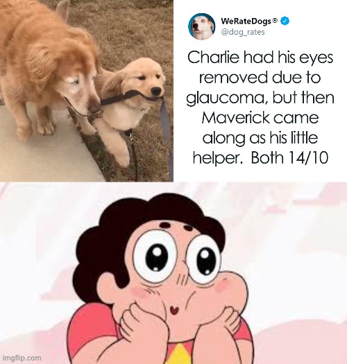 Little something to cheer up your day | image tagged in cute,wholesome,dogs | made w/ Imgflip meme maker