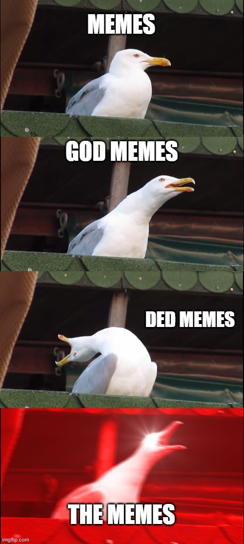 Inhaling Seagull | MEMES; GOD MEMES; DED MEMES; THE MEMES | image tagged in memes,inhaling seagull | made w/ Imgflip meme maker