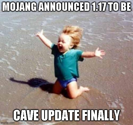 cave update confirmed | MOJANG ANNOUNCED 1.17 TO BE; CAVE UPDATE FINALLY | image tagged in celebration | made w/ Imgflip meme maker